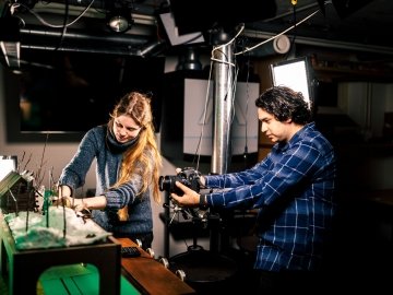Screening Animation