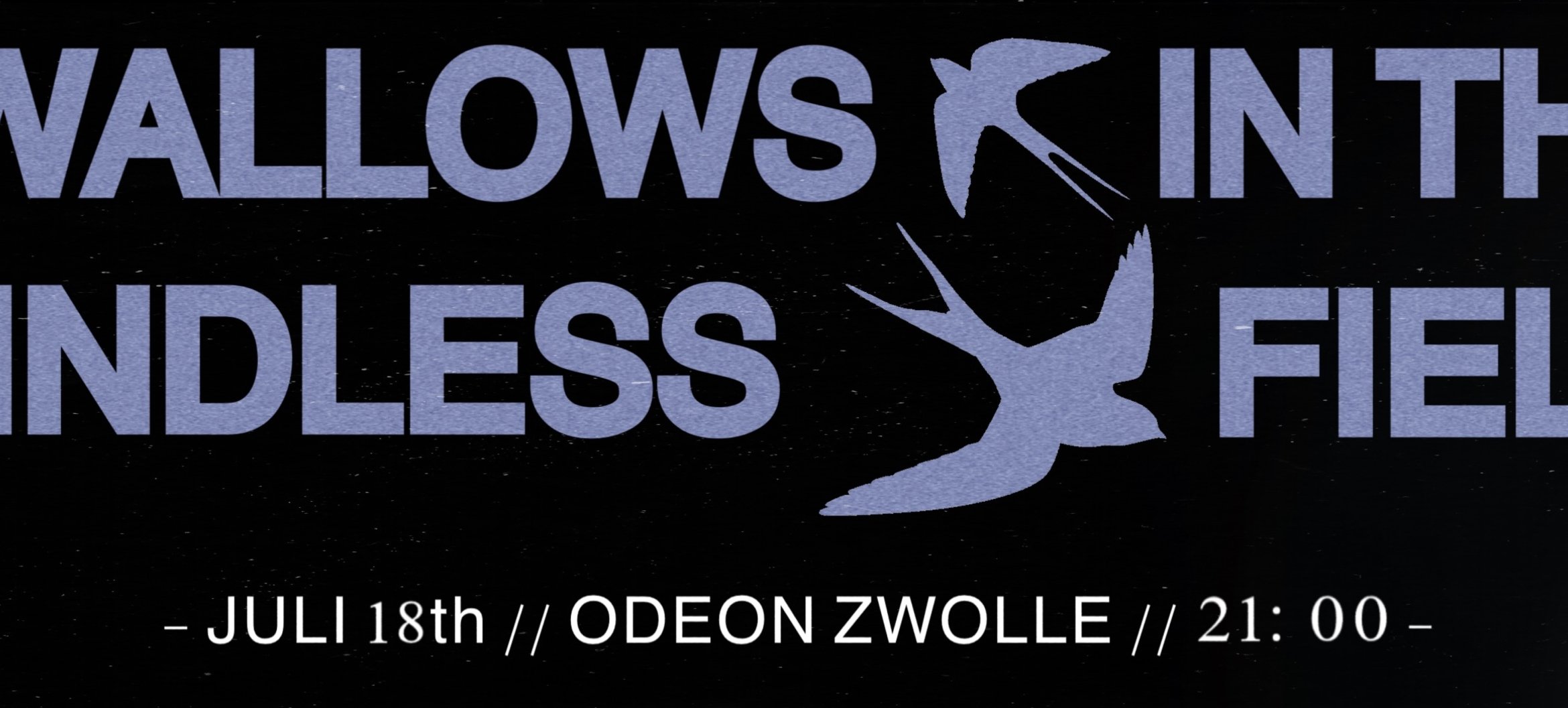 &quot;Swallows in the Windless Field&quot; - Final Exam Brent van Rij