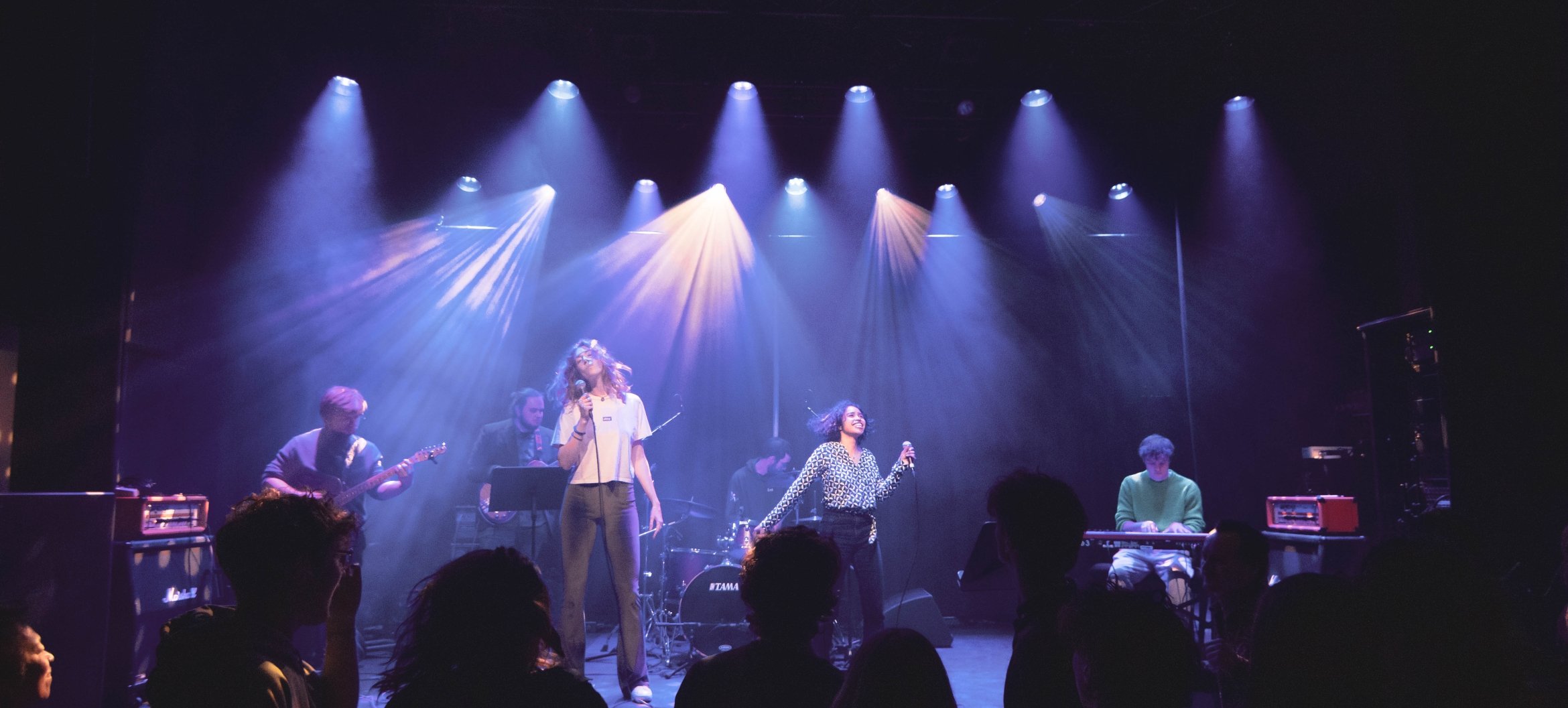 Celebrating The Bands