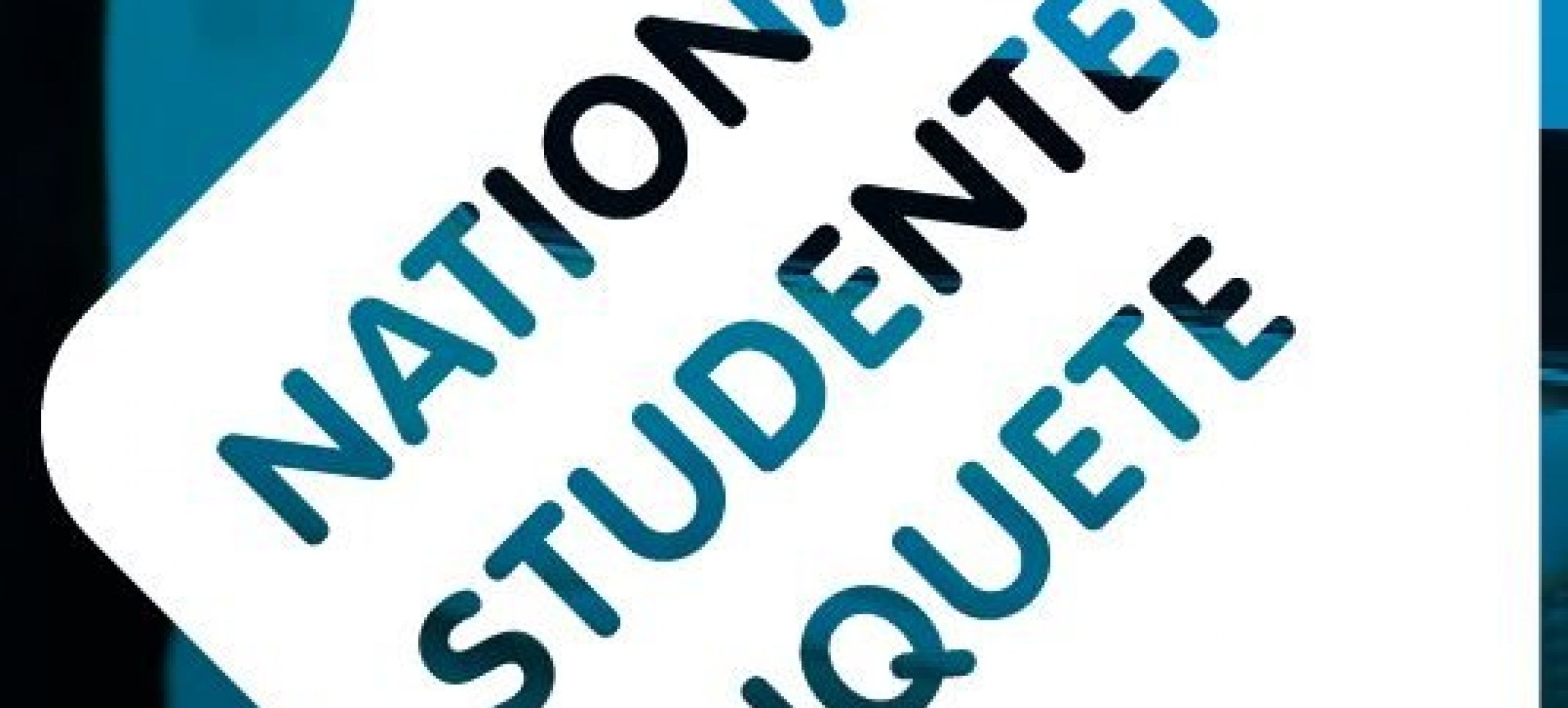 Nationale Studenten Enquête 2015