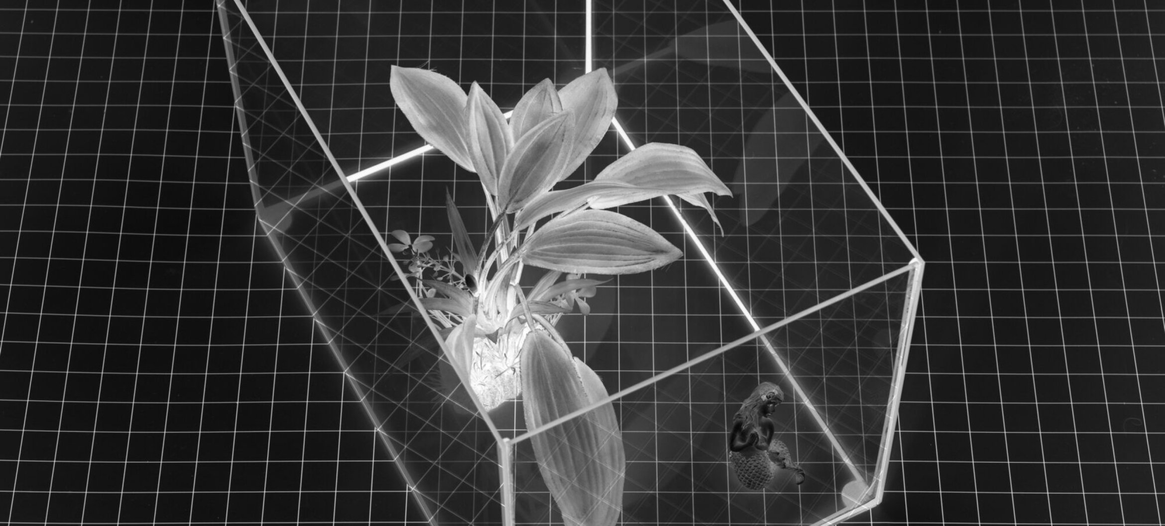 Kaan Orkan Pişkin, Hexaquatic Entropy (32-Bit)