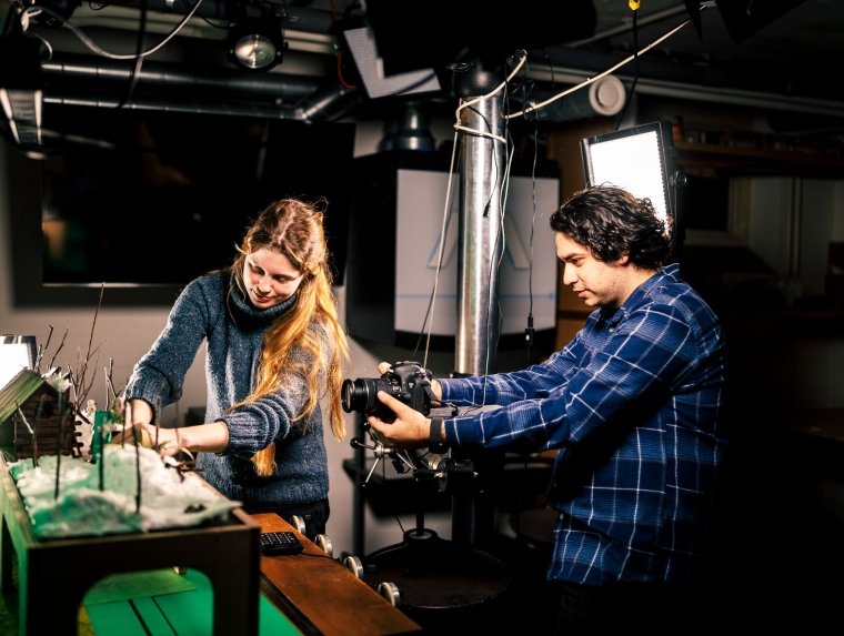 Screening Animation