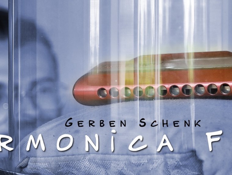 Harmonica First - Gerben Schenk