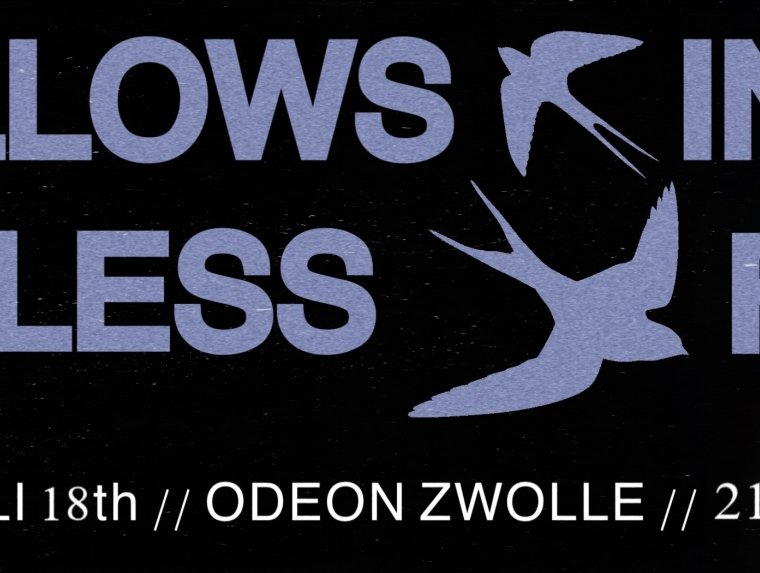 "Swallows in the Windless Field" - Final Exam Brent van Rij