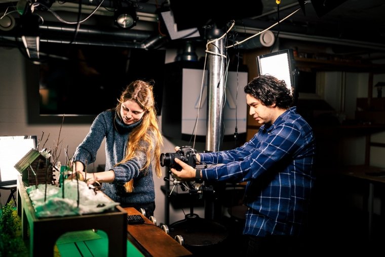 Screening Animation