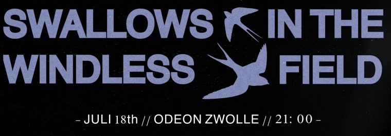 "Swallows in the Windless Field" - Final Exam Brent van Rij