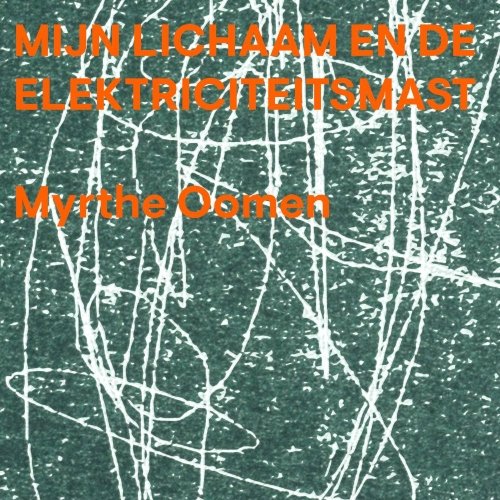 Mijn lichaam en de electriciteitsmast