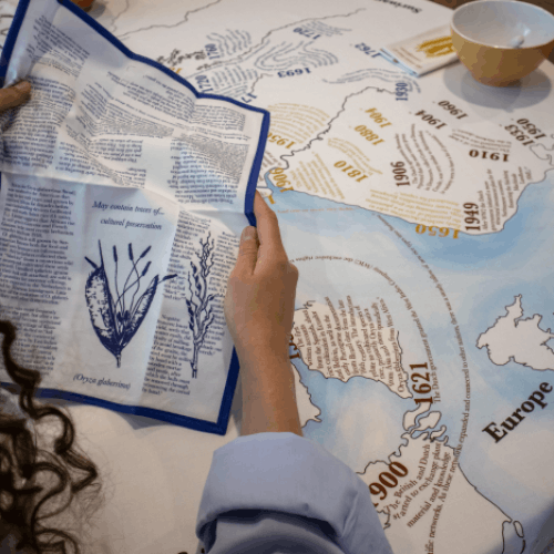 Graphic Design: Polina Slavova