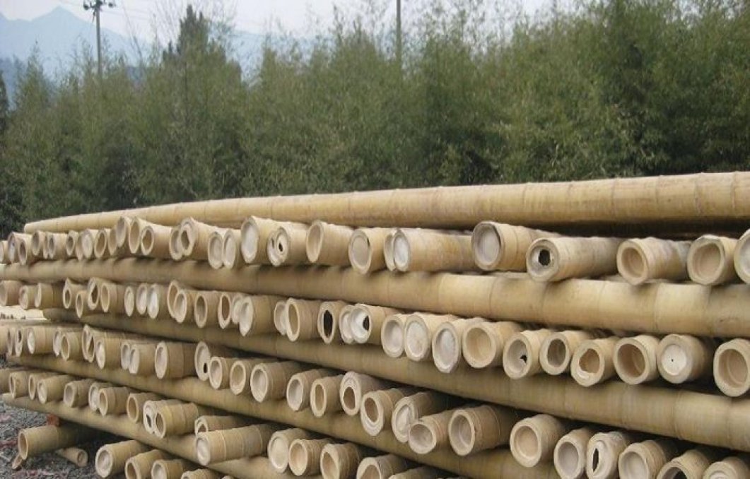 Bamboo Lignin Logic