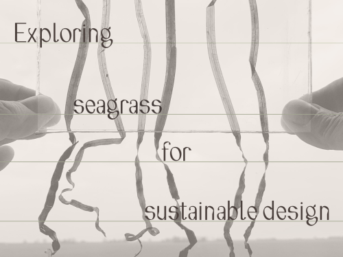 Exploring Seagrass for Sustainable Design