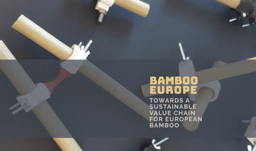 Bamboo Europe - Towards a sustainable value chain for European bamboo