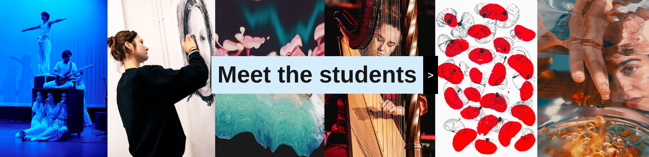 Discover the students