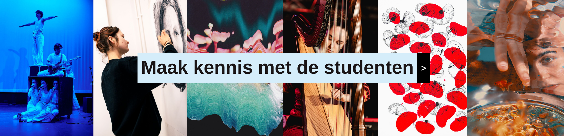 Ontdek de studenten